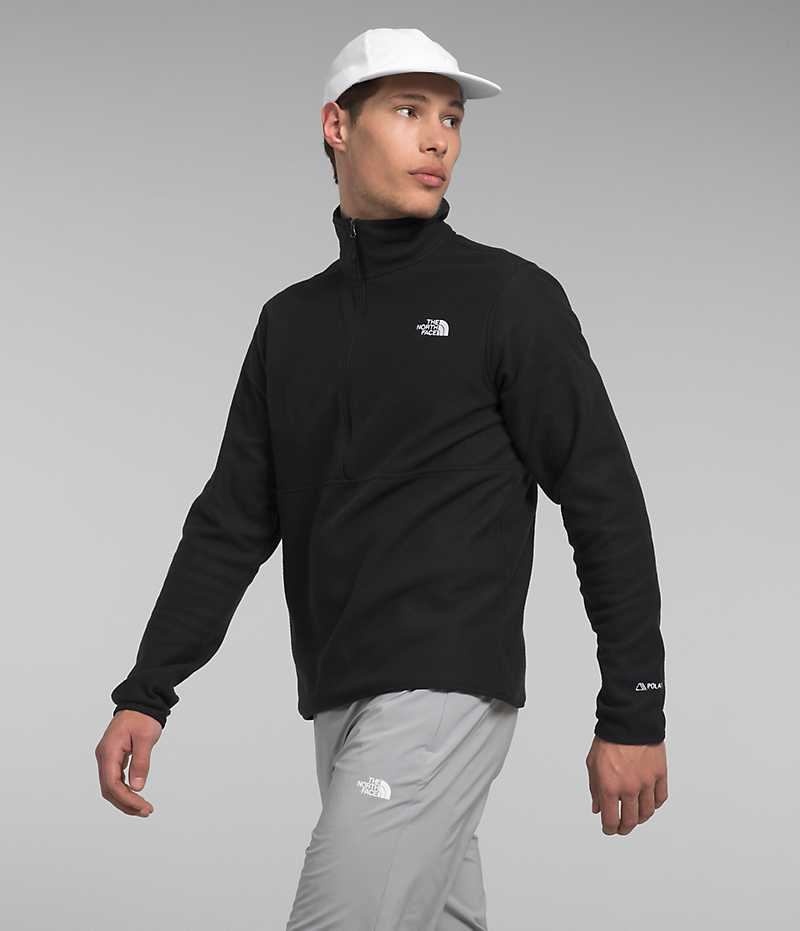 Black Men's The North Face Alpine Polartec® 100 ½-Zip Pullover | IRELAND RDLK