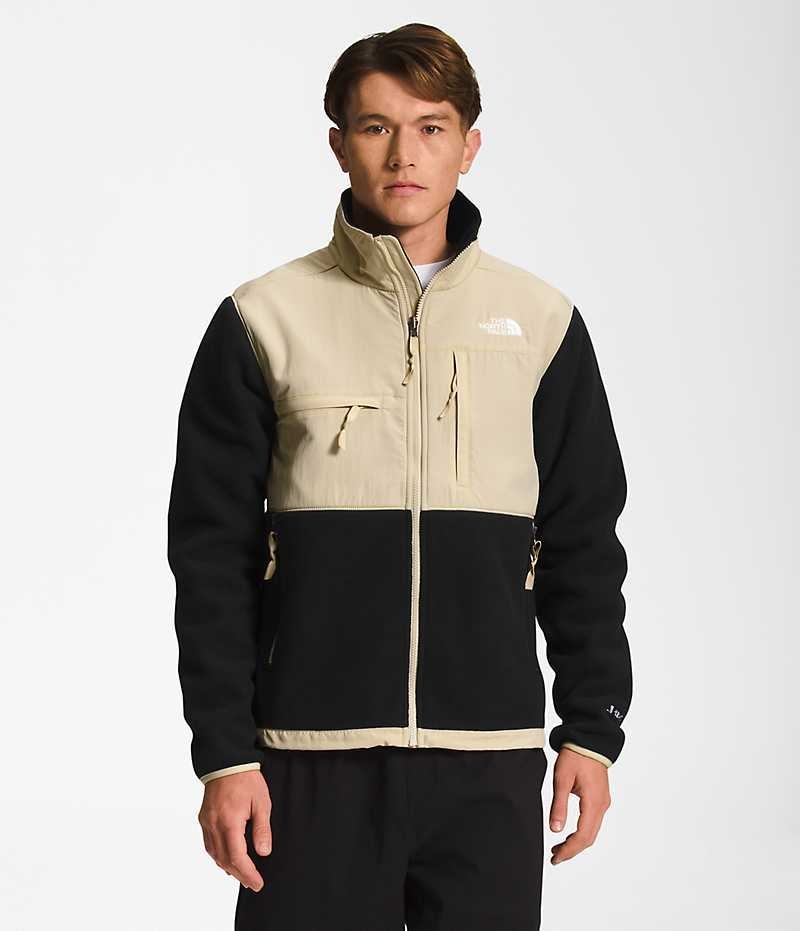 Black Men\'s The North Face Denali Fleece Jacket | DUBLIN BMPH