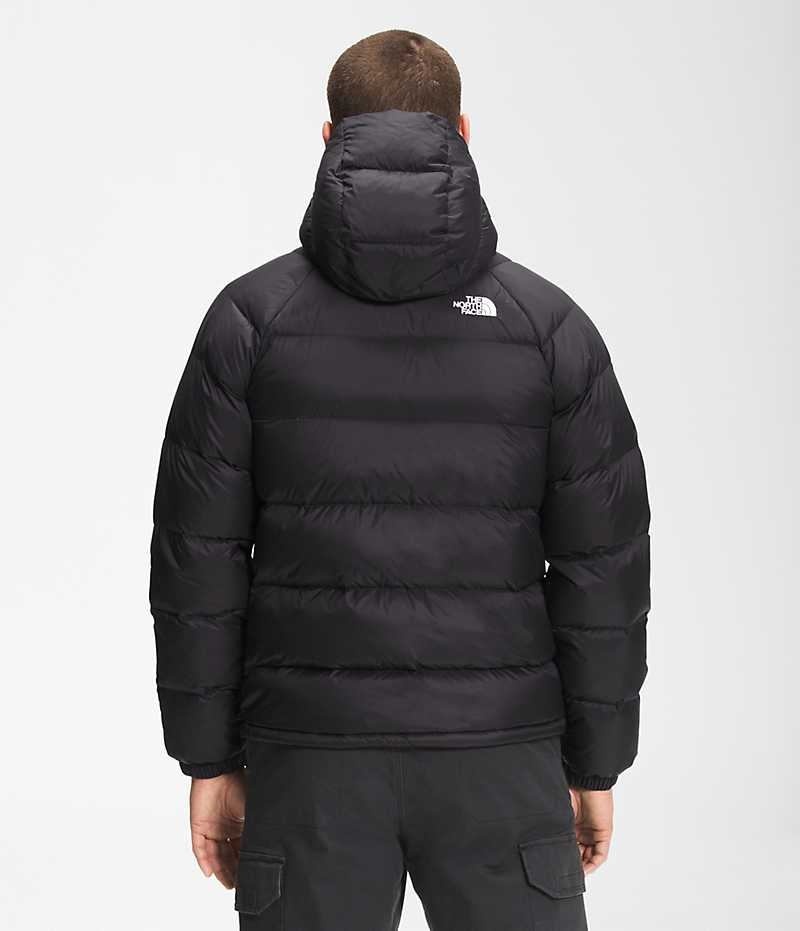 Black Men's The North Face Hydrenalite™ Hoodie Puffer Jacket | DUBLIN EFZU