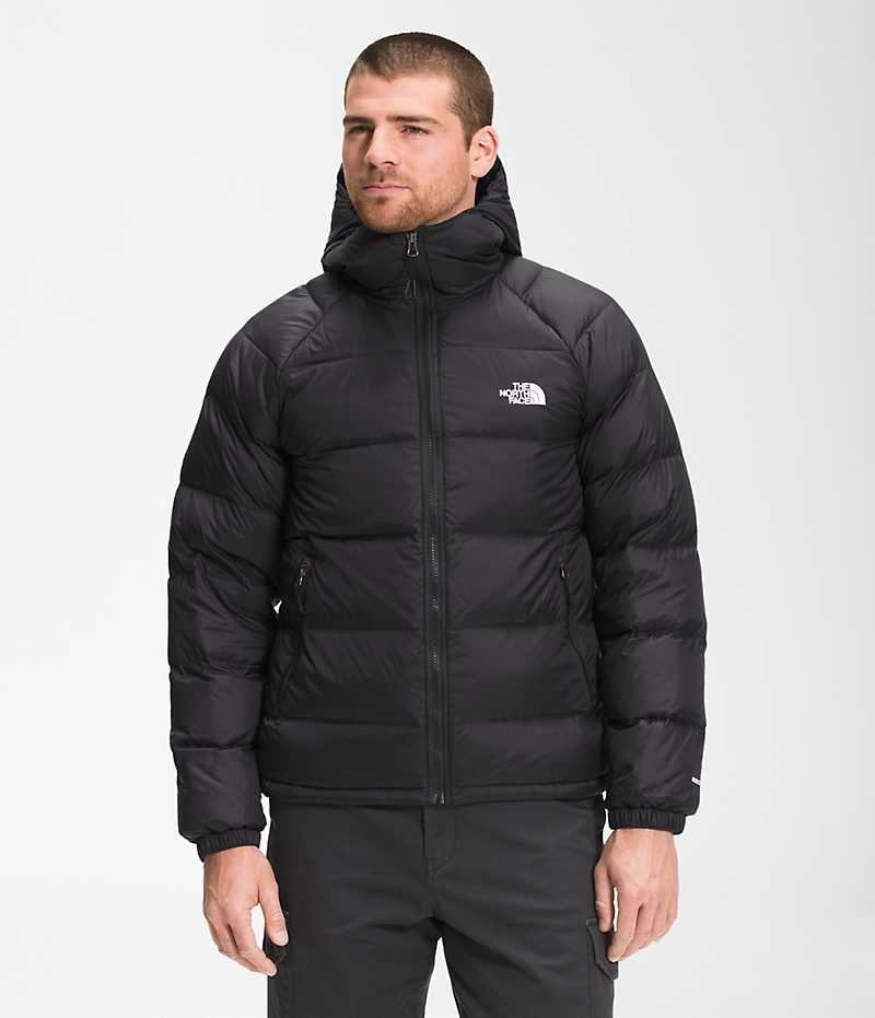 Black Men\'s The North Face Hydrenalite™ Hoodie Puffer Jacket | DUBLIN EFZU