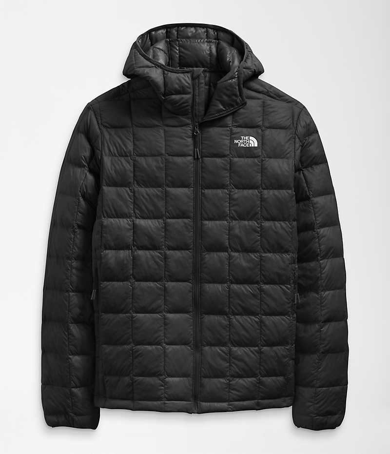 Black Men's The North Face ThermoBall™ Eco Hoodie 2.0 Puffer Jacket | DUBLIN WZIU