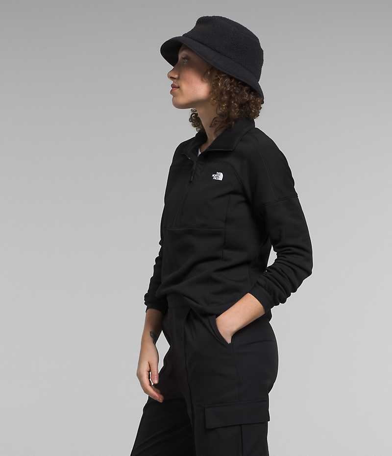 Black Women's The North Face Canyonlands High Altitude ½-Zip Sweatshirt | DUBLIN PMQD