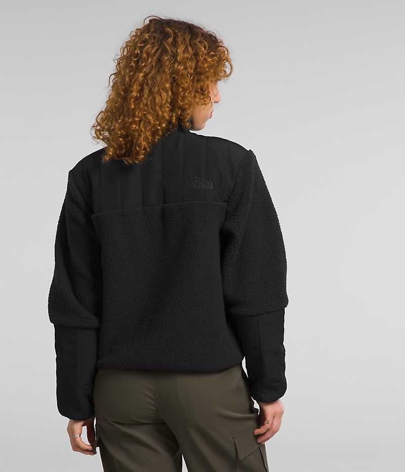 Black Women's The North Face Cragmont Fleece Jacket | IRELAND SDWF