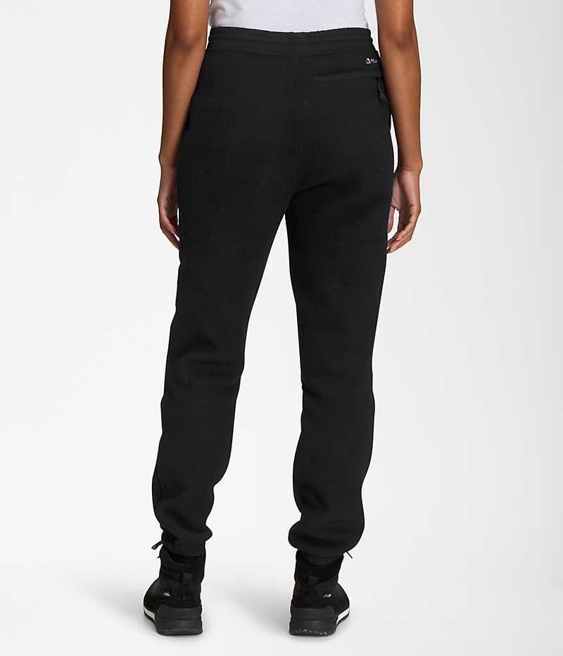 Black Women's The North Face Denali Fleece Pants | DUBLIN FMJL