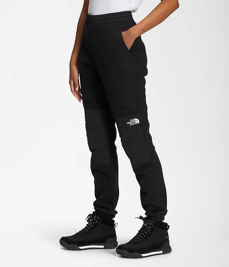 Black Women's The North Face Denali Fleece Pants | DUBLIN FMJL