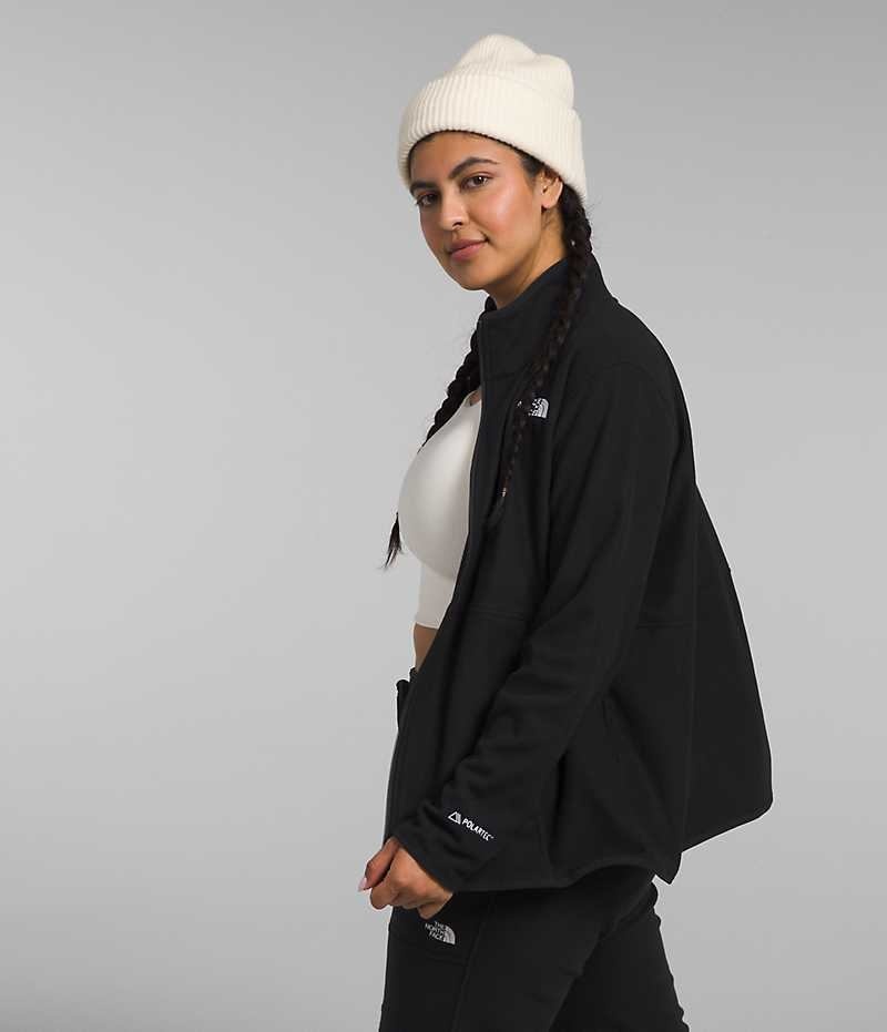 Black Women's The North Face Plus Alpine Polartec® 100 Fleece Jacket | DUBLIN OUZS