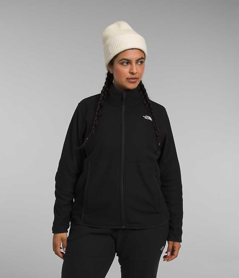 Black Women\'s The North Face Plus Alpine Polartec® 100 Fleece Jacket | DUBLIN OUZS