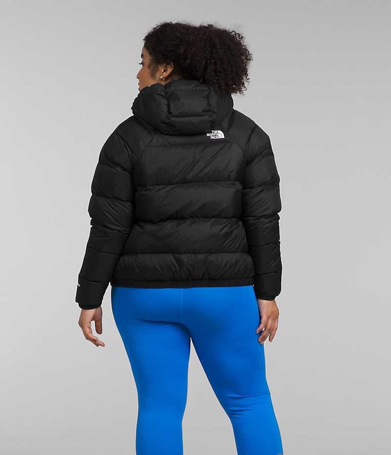 Black Women's The North Face Plus Hydrenalite™ Hoodie Puffer Jacket | IRELAND GAVB