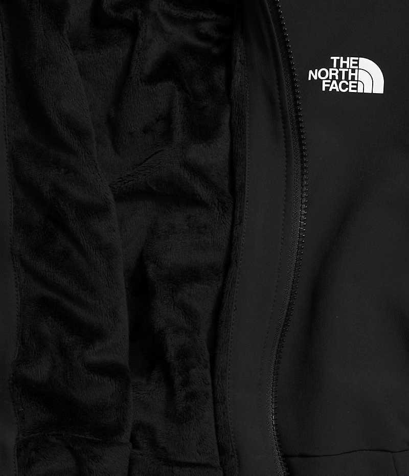 Black Women's The North Face Plus Shelbe Raschel Hoodie Softshell Jacket | DUBLIN JRDE