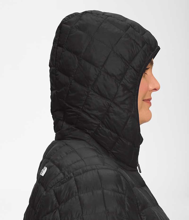 Black Women's The North Face Plus ThermoBall™ Eco Coat | IRELAND MVXO