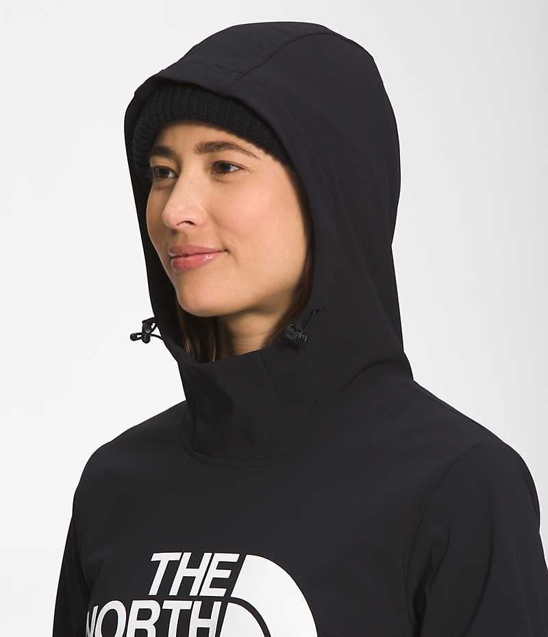 Black Women's The North Face Tekno Pullover Hoodie | DUBLIN AODK