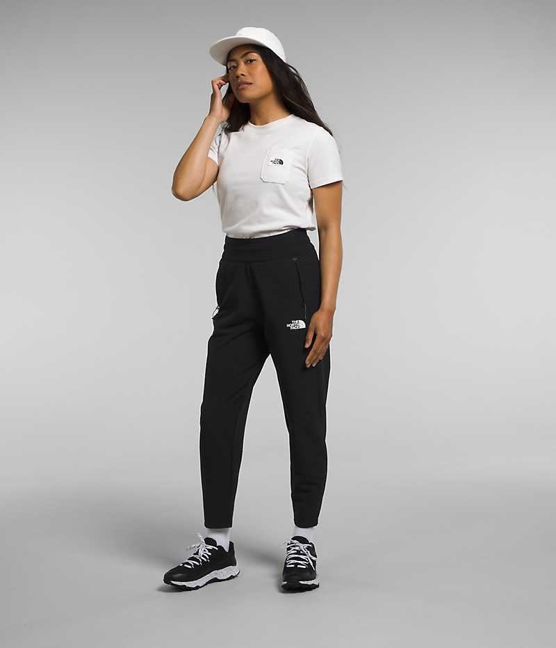 Black Women's The North Face Tekware™ Grid Fleece Pants | IRELAND PZJL