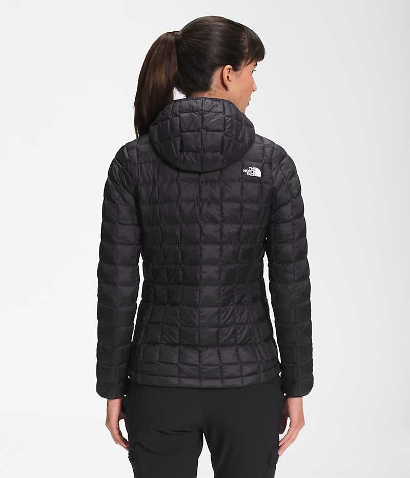 Black Women's The North Face ThermoBall™ Eco Hoodie 2.0 Puffer Jacket | DUBLIN FJMI