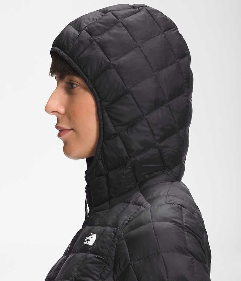 Black Women's The North Face ThermoBall™ Eco Hoodie 2.0 Puffer Jacket | DUBLIN FJMI