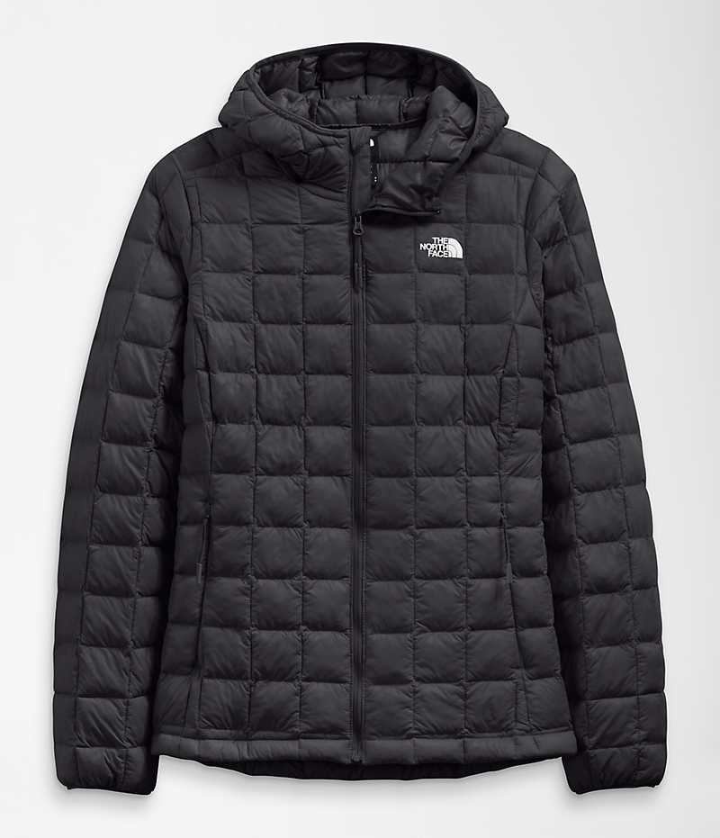 Black Women's The North Face ThermoBall™ Eco Hoodie 2.0 Puffer Jacket | DUBLIN FJMI