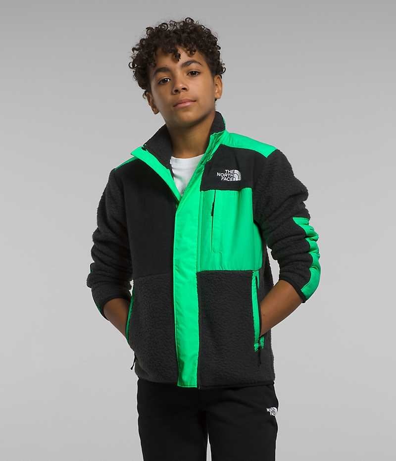 Black / Green Boys\' The North Face Forrest Mashup Fleece Jacket | IRELAND LJIS