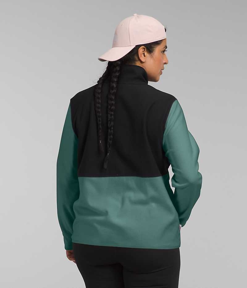 Black / Green Women's The North Face Plus Alpine Polartec® 100 Fleece Jacket | IRELAND WNVD