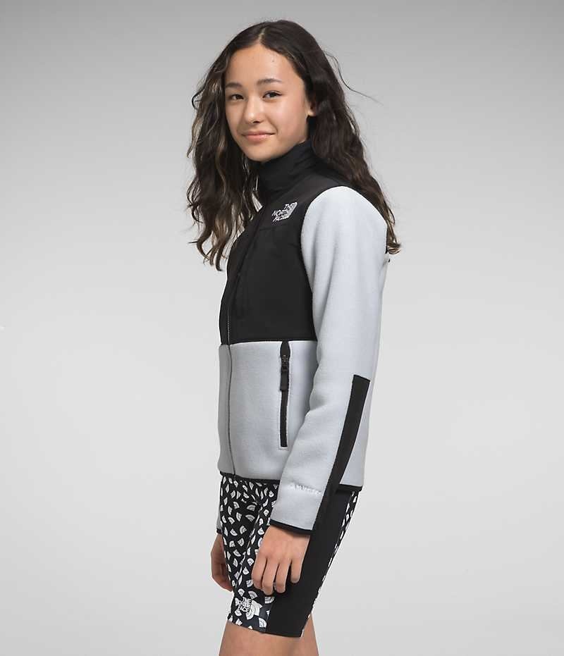 Black / Grey Girls'' The North Face Denali Fleece Jacket | DUBLIN KJTA