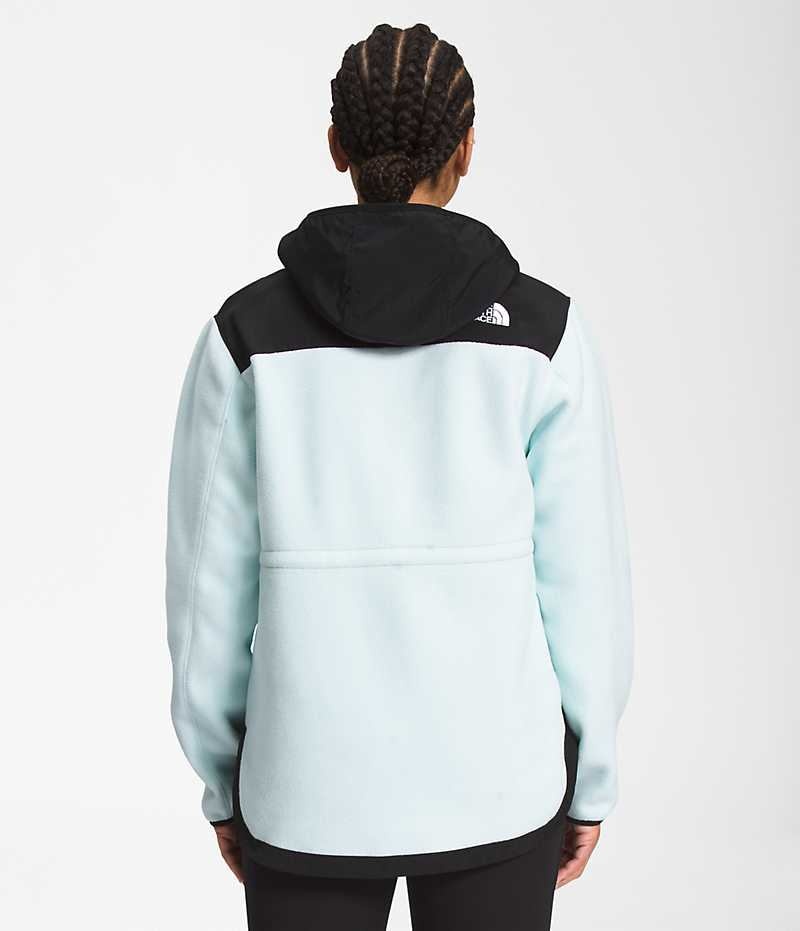 Black / Turquoise Women's The North Face Denali Hoodie Fleece Jacket | IRELAND VEHZ