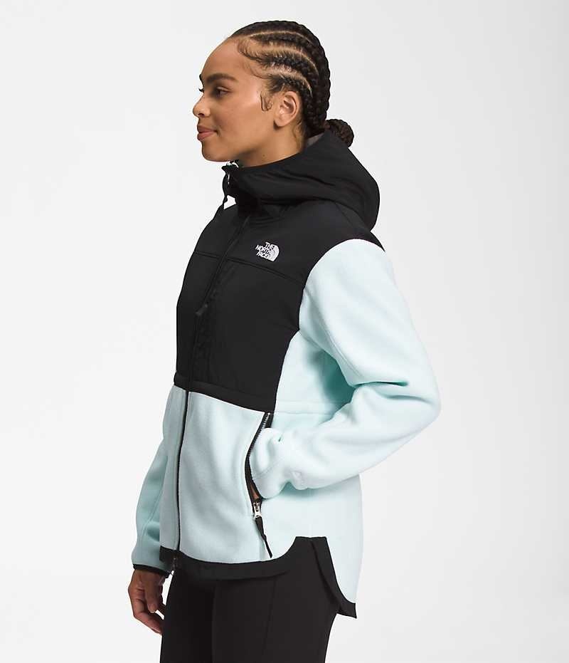 Black / Turquoise Women's The North Face Denali Hoodie Fleece Jacket | IRELAND VEHZ