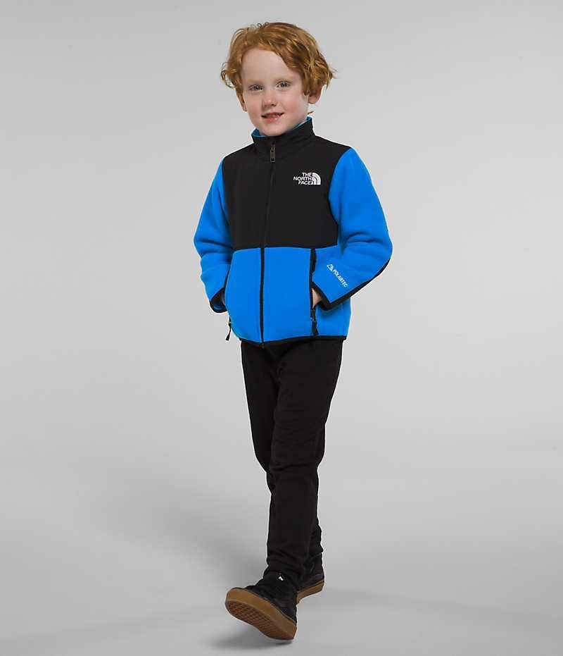 Blue Boys\' The North Face Denali Fleece Jacket | IRELAND ZVDH