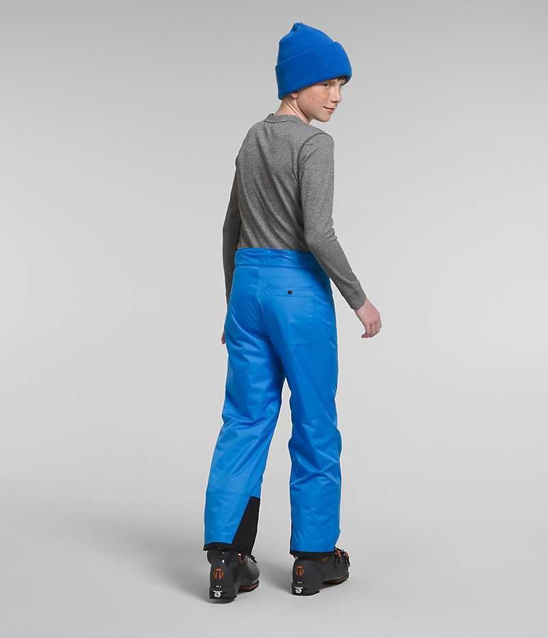 Blue Boys' The North Face Freedom Insulated Pants | DUBLIN HEVA