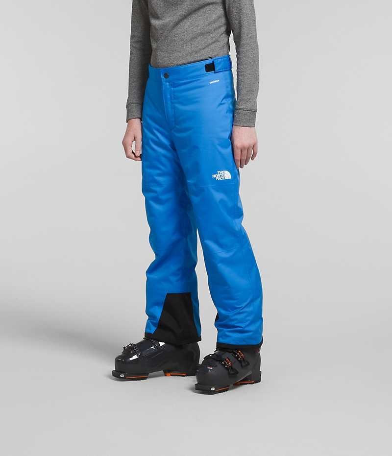 Blue Boys' The North Face Freedom Insulated Pants | DUBLIN HEVA