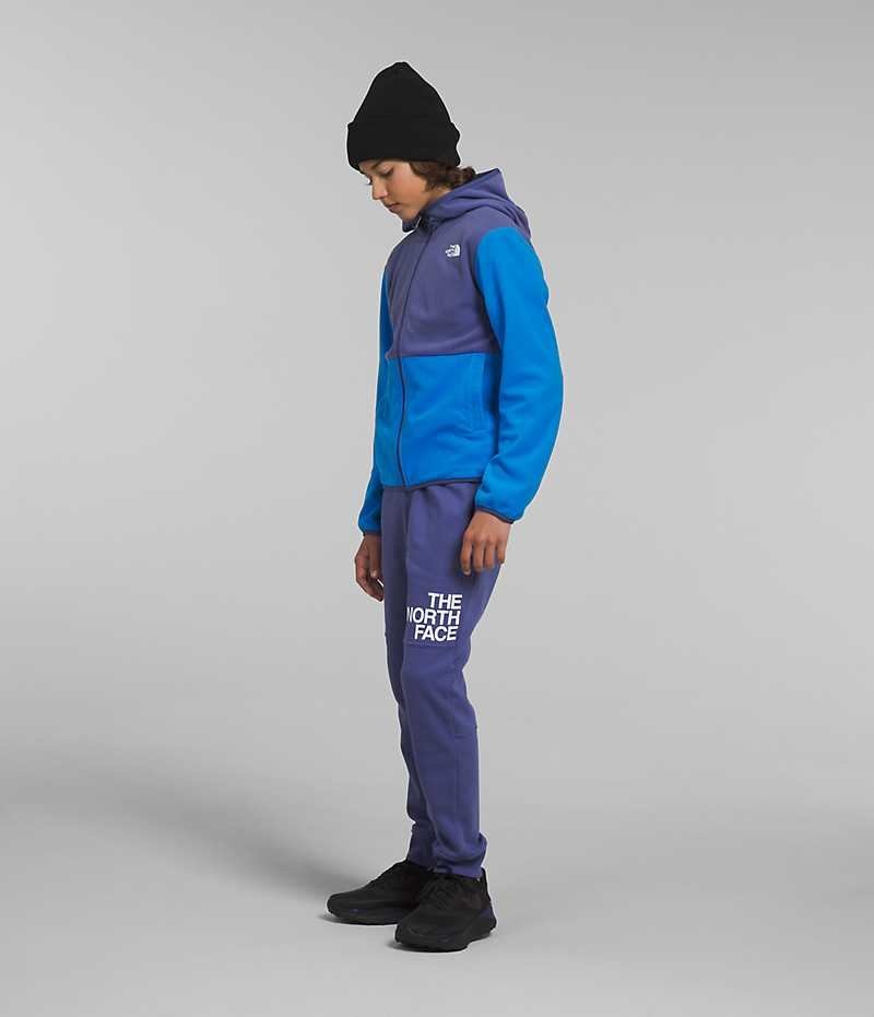 Blue Boys' The North Face Glacier Full-Zip Hooded Fleece Jacket | DUBLIN MXNV