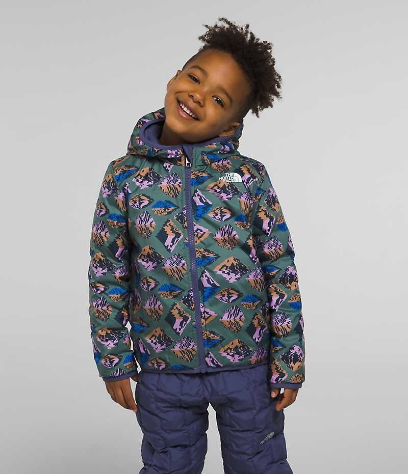 Blue Boys' The North Face Reversible ThermoBall™ Hooded Puffer Jacket | IRELAND TWHN