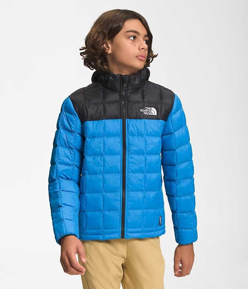 Blue Boys\' The North Face ThermoBall™ Hooded Puffer Jacket | DUBLIN RASQ