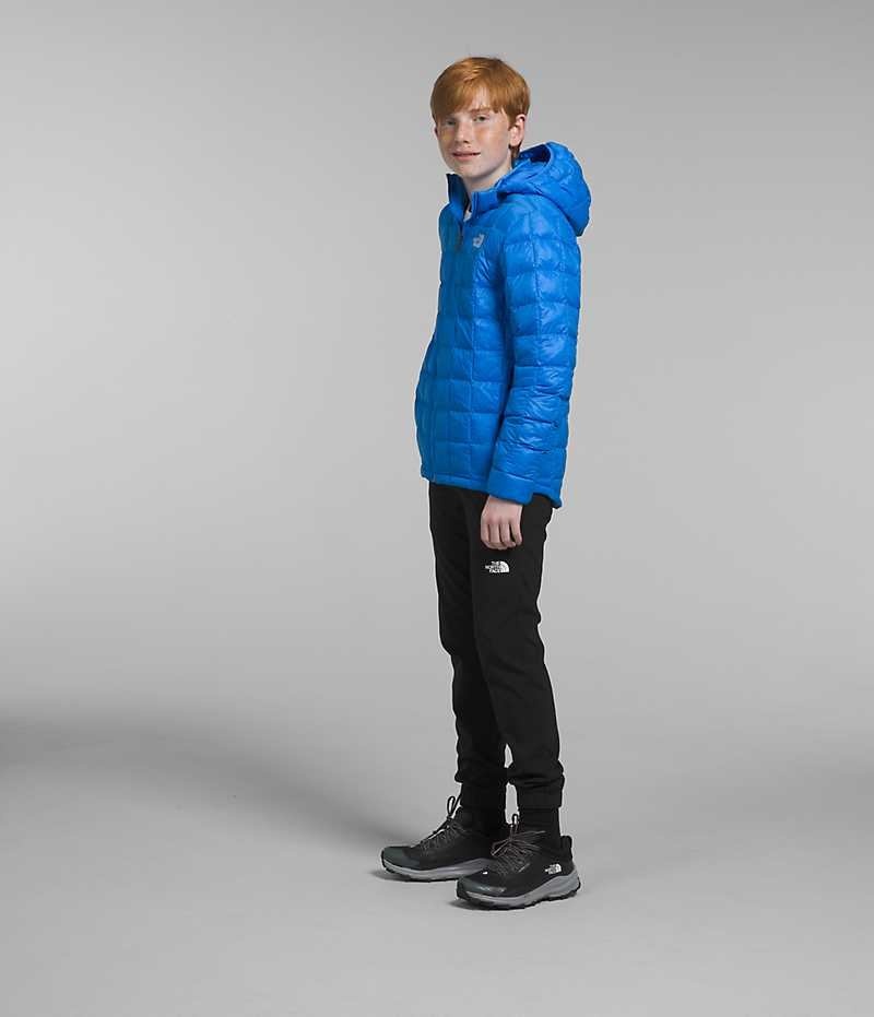 Blue Boys' The North Face ThermoBall™ Hooded Puffer Jacket | IRELAND FGMK