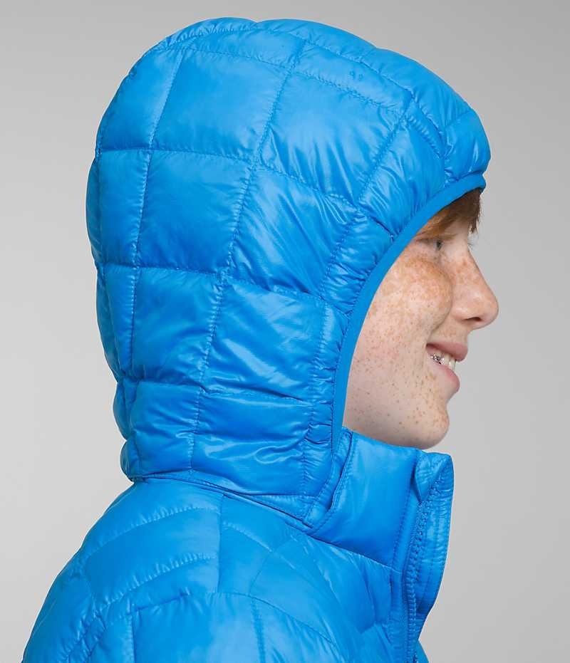 Blue Boys' The North Face ThermoBall™ Hooded Puffer Jacket | IRELAND FGMK