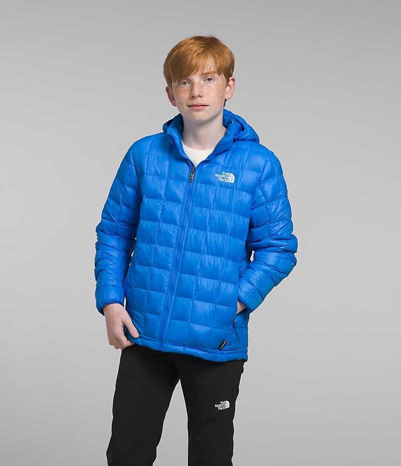 Blue Boys\' The North Face ThermoBall™ Hooded Puffer Jacket | IRELAND FGMK