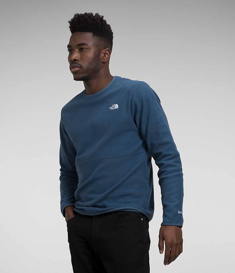 Blue Men's The North Face Alpine Polartec® 100 Crew Pullover | IRELAND AVML