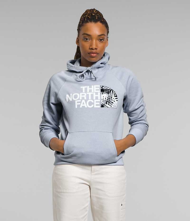 Blue Women\'s The North Face Half Dome Pullover Hoodie | IRELAND IHUT