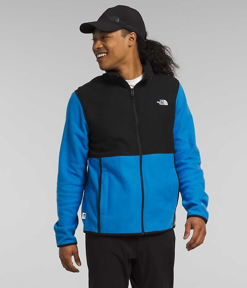 Blue / Black Men\'s The North Face Alpine Polartec® 100 Fleece Jacket | DUBLIN YJAS