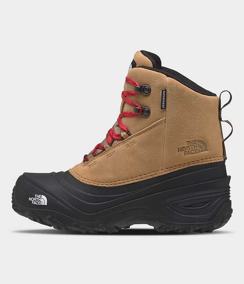 Brown Girls\'\' The North Face Chilkat V Lace Waterproof Winter Boots | IRELAND OCEQ