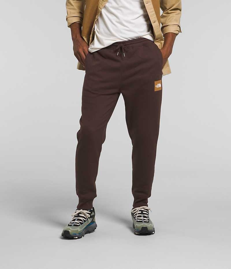 Brown Men\'s The North Face Box NSE Jogger | DUBLIN GQSW