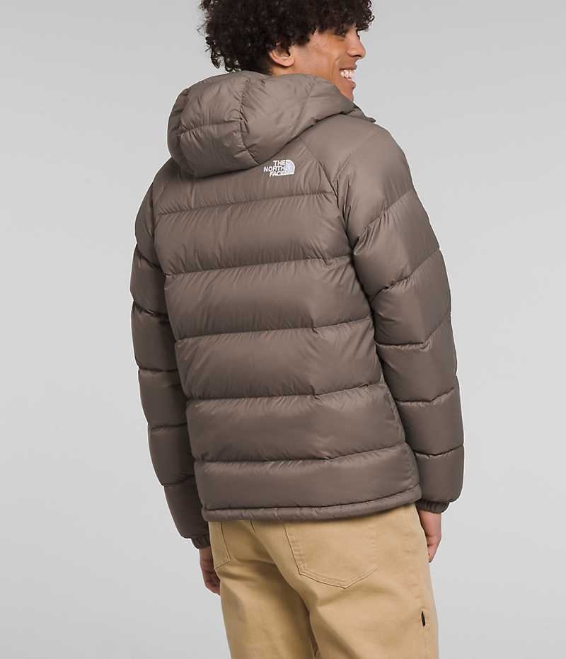 Brown Men's The North Face Hydrenalite™ Hoodie Puffer Jacket | DUBLIN VGAP