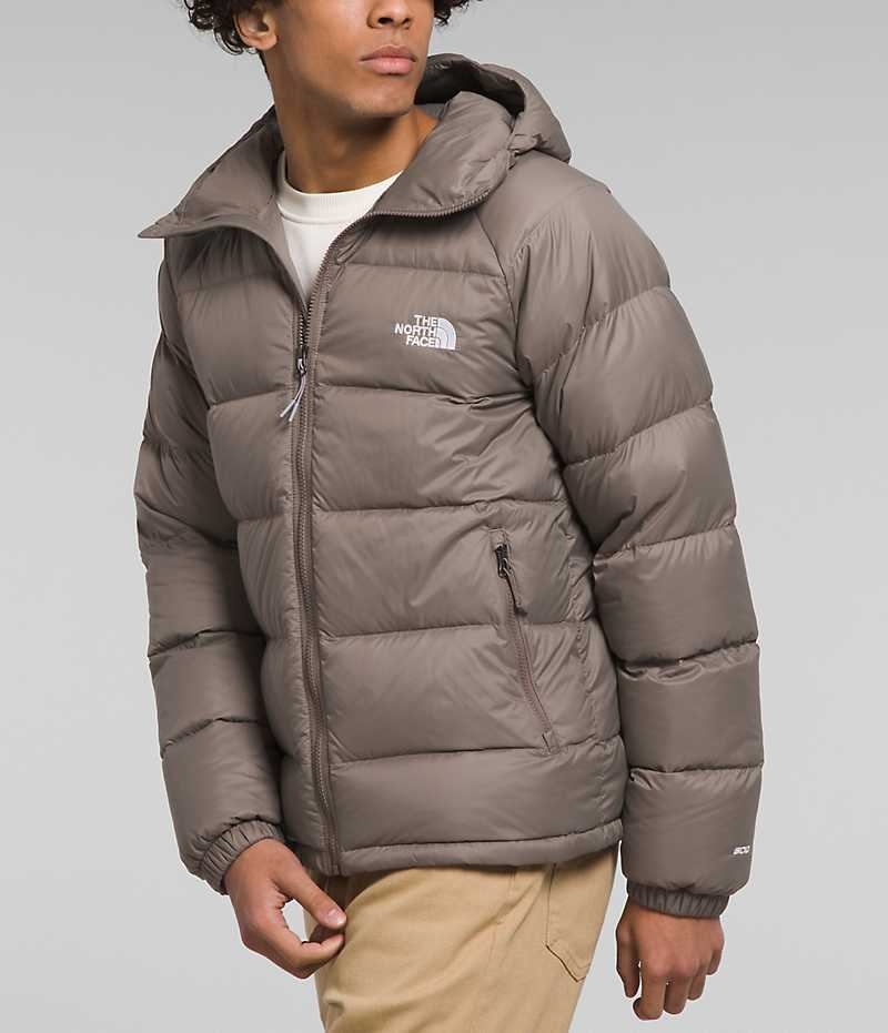 Brown Men's The North Face Hydrenalite™ Hoodie Puffer Jacket | DUBLIN VGAP