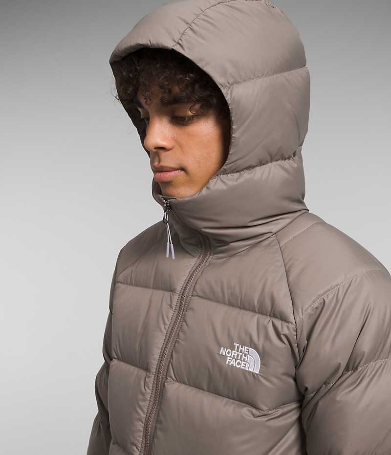 Brown Men's The North Face Hydrenalite™ Hoodie Puffer Jacket | DUBLIN VGAP