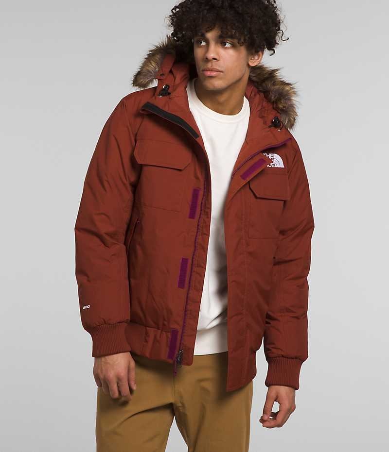 Brown Men\'s The North Face McMurdo Bomber Jacket | DUBLIN NBSK