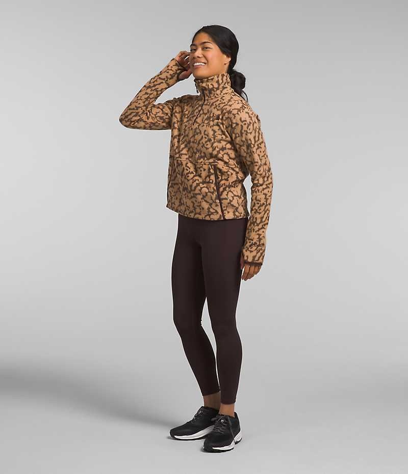 Brown Women's The North Face Alpine Polartec® 100 ¼-Zip Cowl Sweatshirt | IRELAND JOFU