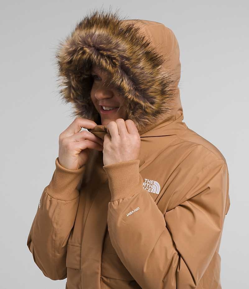 Brown Women's The North Face Arctic Bomber Jacket | DUBLIN HIGO