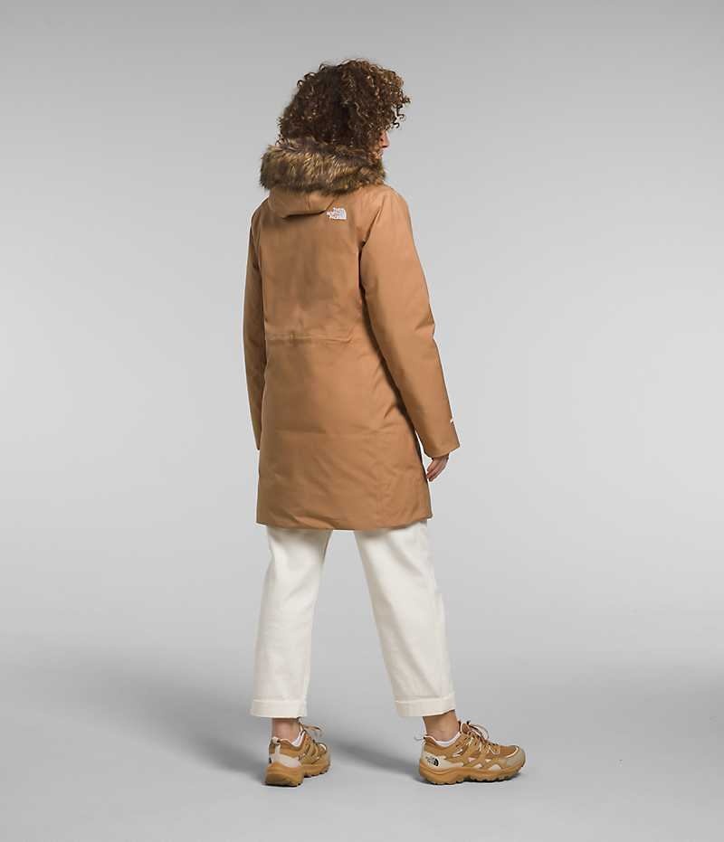 Brown Women's The North Face Arctic Coat | IRELAND HJPR