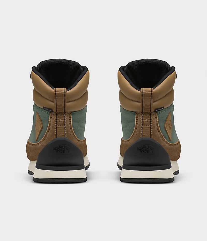 Brown Women's The North Face Back-To-Berkeley IV Textile Waterproof Winter Boots | DUBLIN BFXT