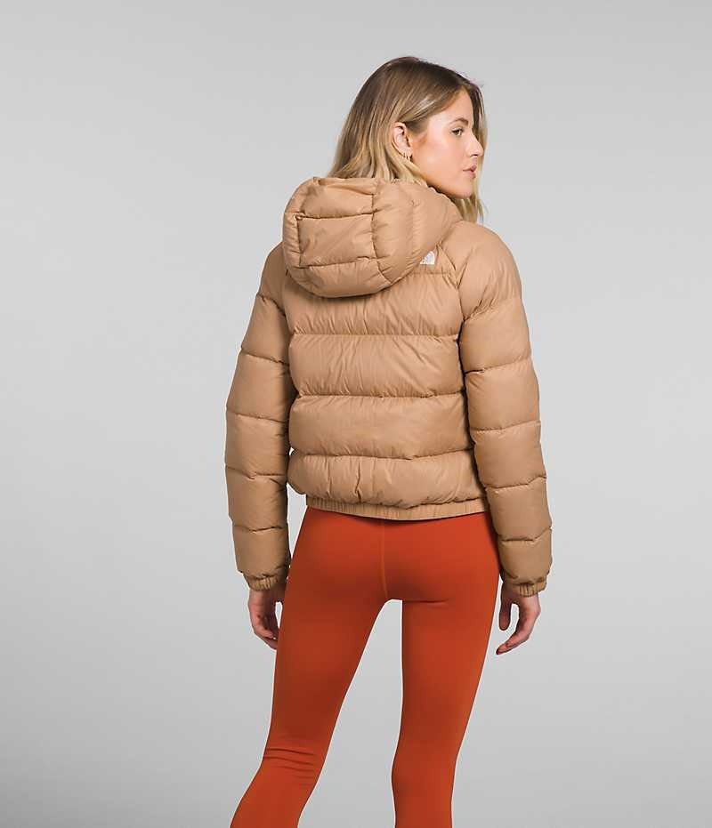 Brown Women's The North Face Hydrenalite™ Puffer Jacket | DUBLIN RIDE