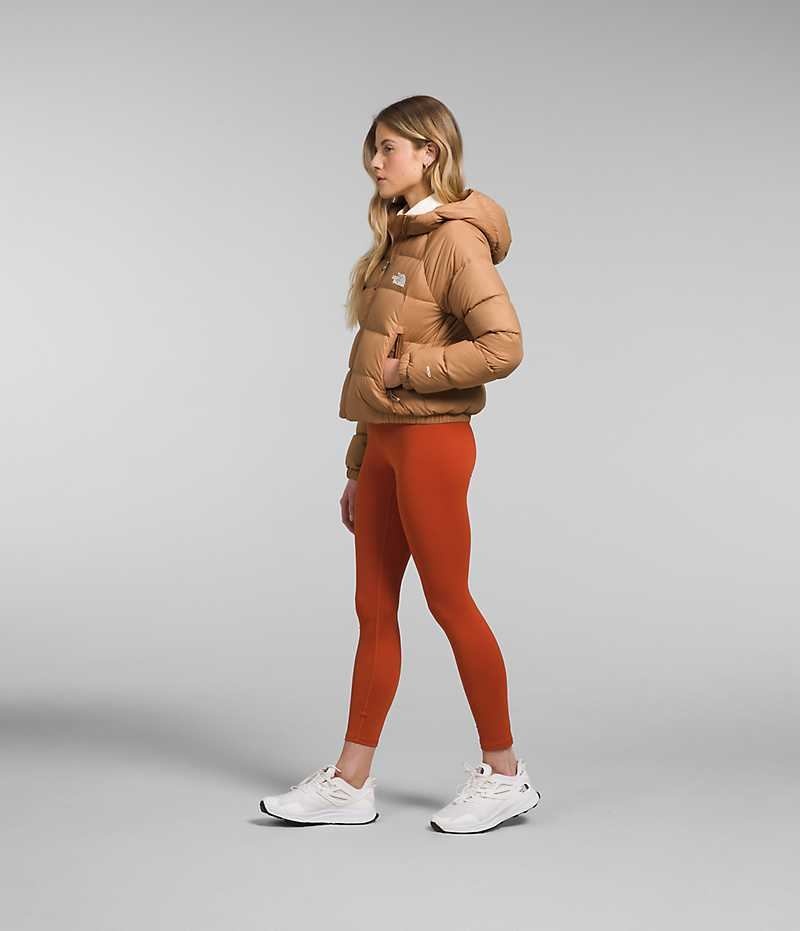 Brown Women's The North Face Hydrenalite™ Puffer Jacket | DUBLIN RIDE