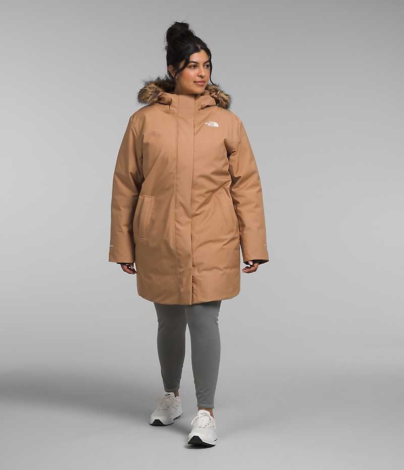 Brown Women's The North Face Plus Arctic Coat | IRELAND BKXE