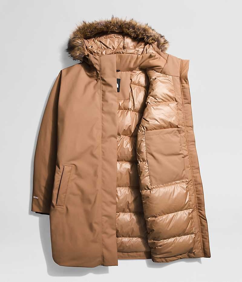 Brown Women's The North Face Plus Arctic Coat | IRELAND BKXE